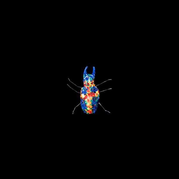 Tiger Beetle