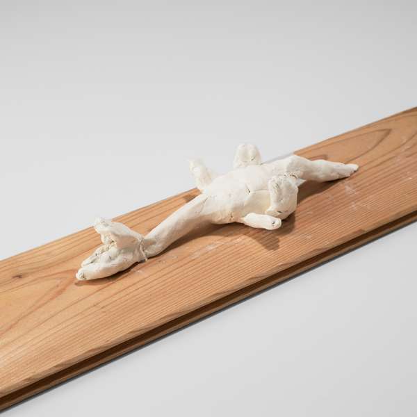 Swimming Plesiosaur
