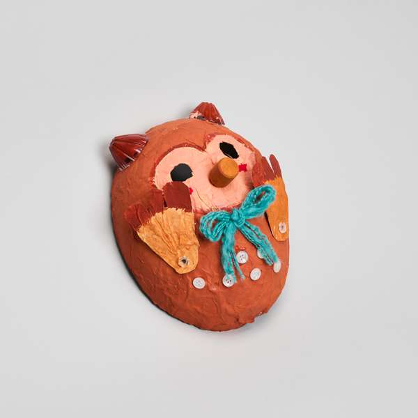 The Shy Owl