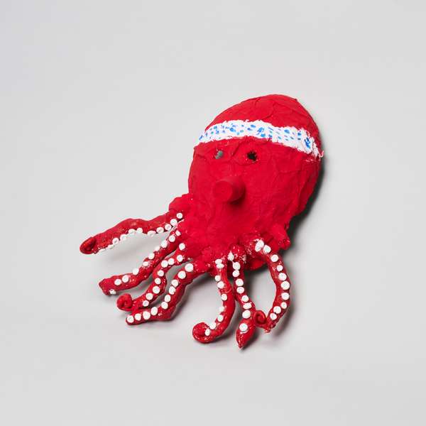 Still an Octopus, Even with Seven Legs