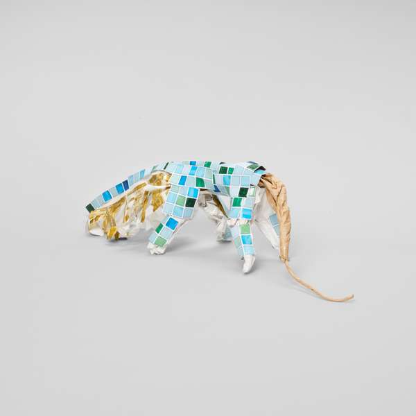 Anteater
