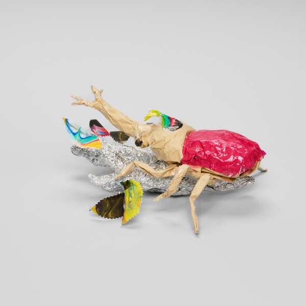 Rhinoceros Beetle