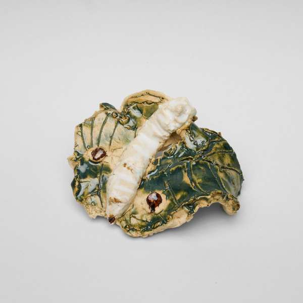 Silkworm