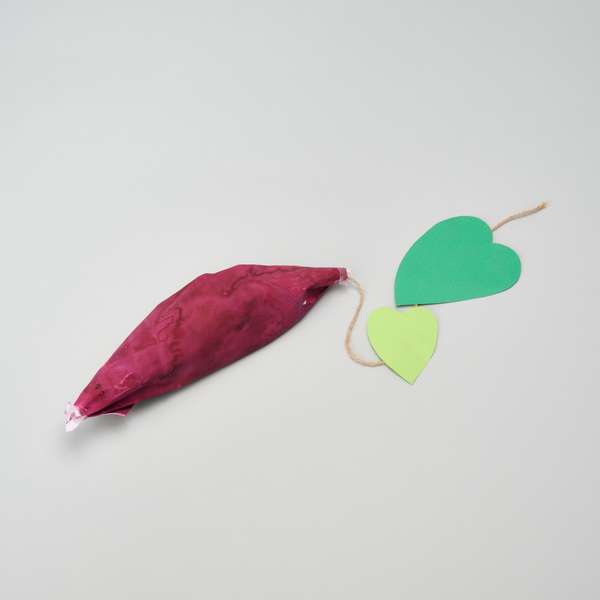 Sweet Potato